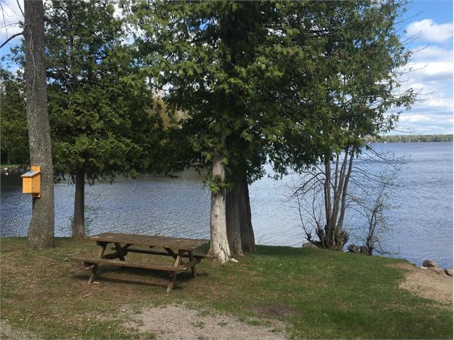 A picture of a picnic table in front of a lake with trees