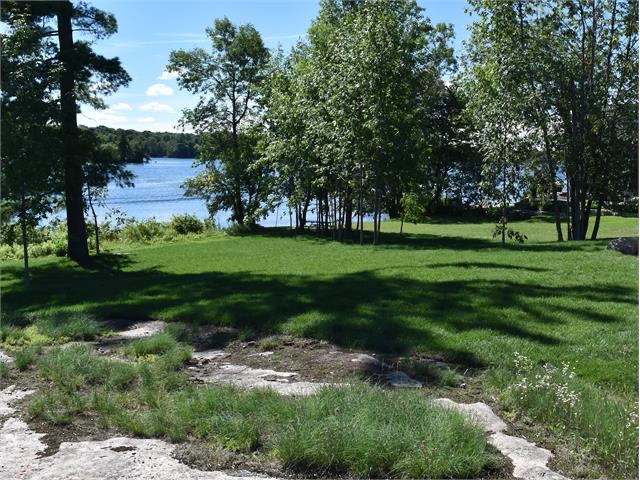 A picture of trees and green grass with a lake in the background